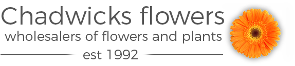 Chadwicks Wholesale Flowers