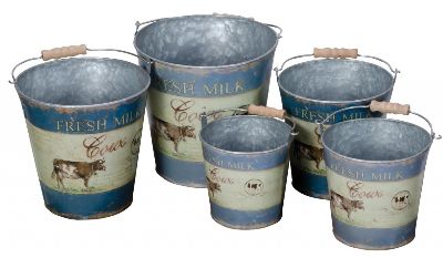 fresh milk pails