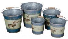 fresh milk pails